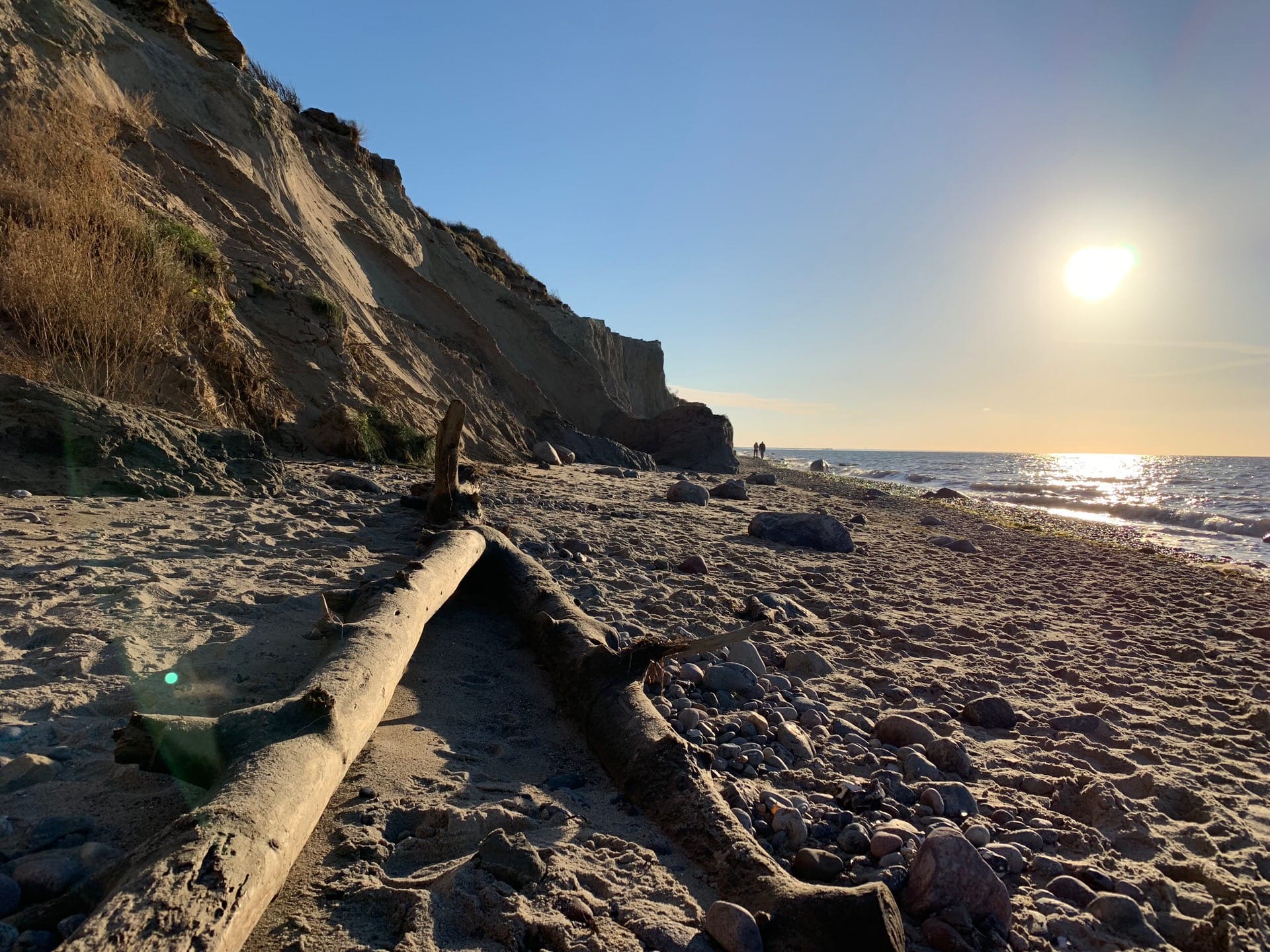 Blick auf das Ufer: links die Steilküste, am Ufer Sand, ein umgestürzter Baum und Steine, dahinter das Meer.