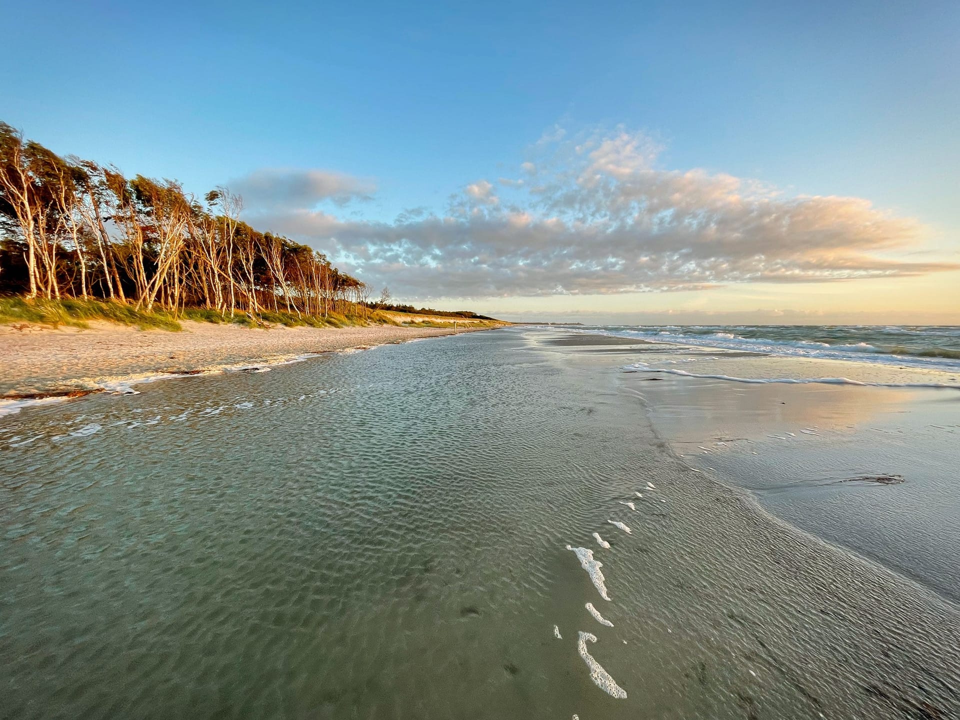 Sandstrand mit vom Wind geformten Bäumen und seichtem Wasser bei Sonnenuntergang.