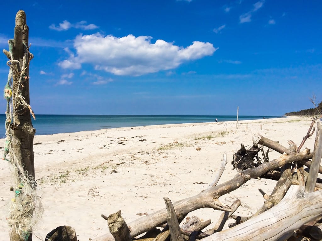 Ein sonniger Sandstrand an der Ostsee mit Treibholz im Vordergrund, blauem Meer und wolkenlosem Himmel.