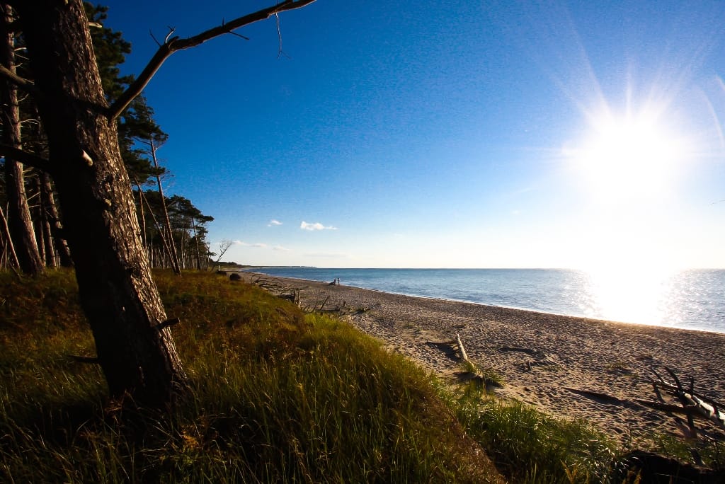 Ein sonniger Sandstrand mit Küstenwald, grasbewachsenen Dünen und tiefblauem Meer unter strahlender Sonne.