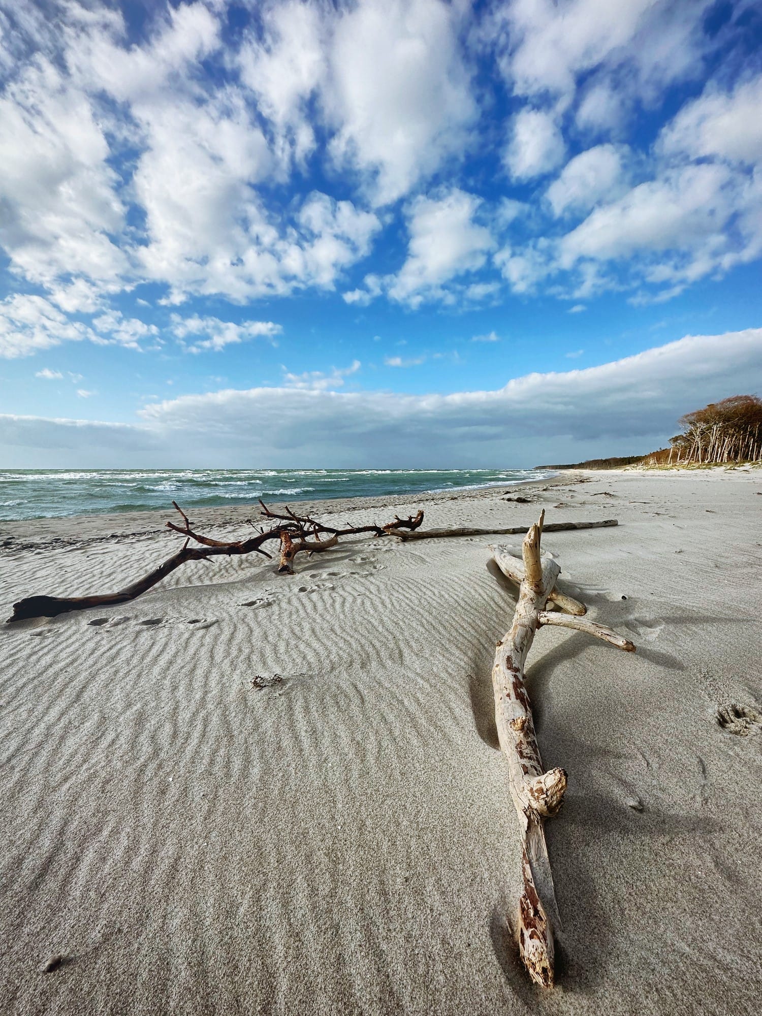 Sandstrand mit Treibholz im Vordergrund, Meer mit Wellen und bewölktem Himmel.