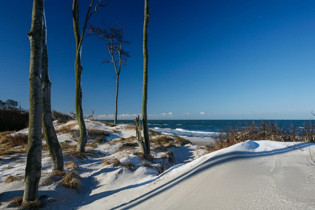 Eine verschneite Düne, einige Bäume in der Ferne, das Meer und ein klarer Himmel.