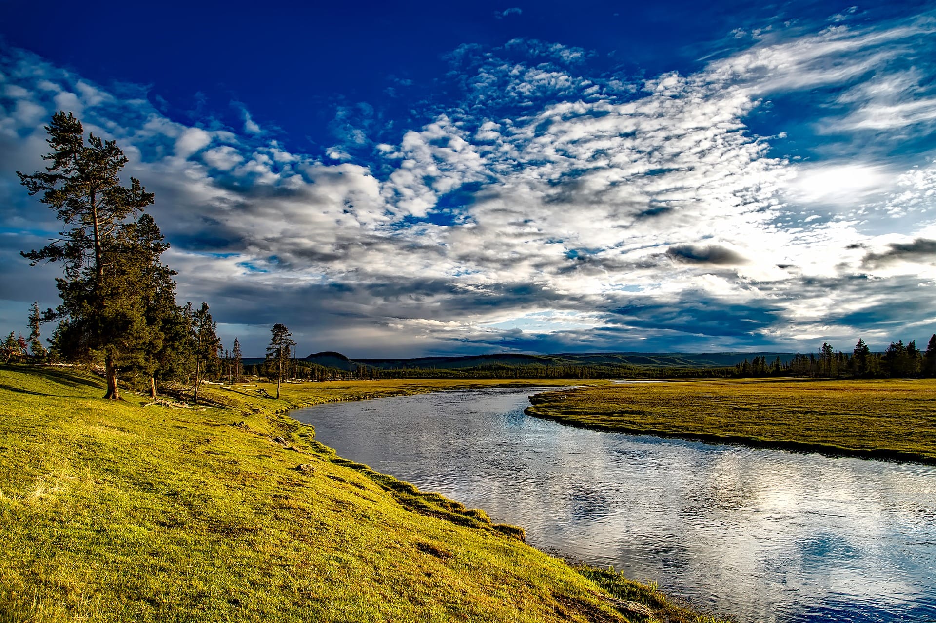 Ein grünes Feld mit Bäumen, in der Mitte fließt ein kleiner Fluss.