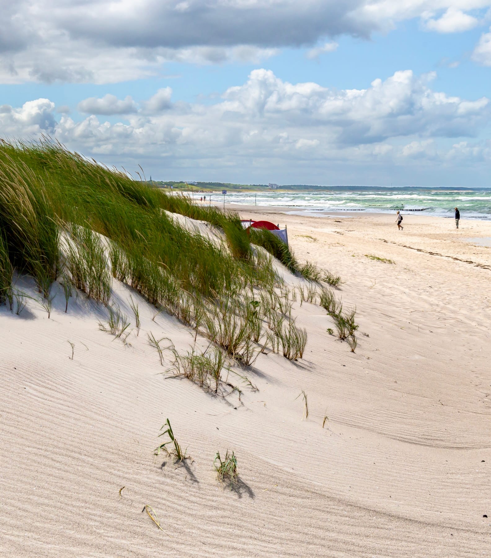 Sanddünen mit Strandgras am Ostseestrand, im Hintergrund Meer und Wolkenhimmel.