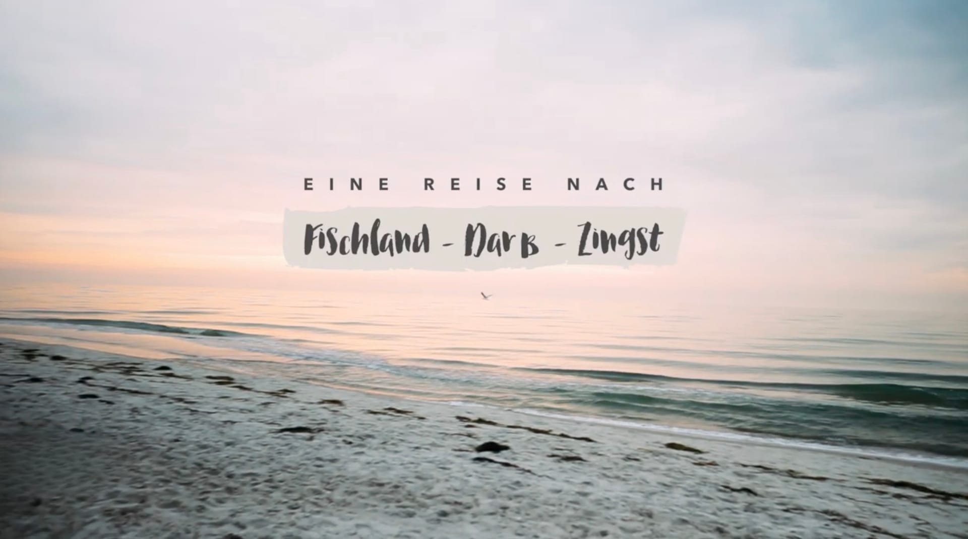 Strand bei Sonnenaufgang mit Schriftzug Fischland-Darß-Zingst