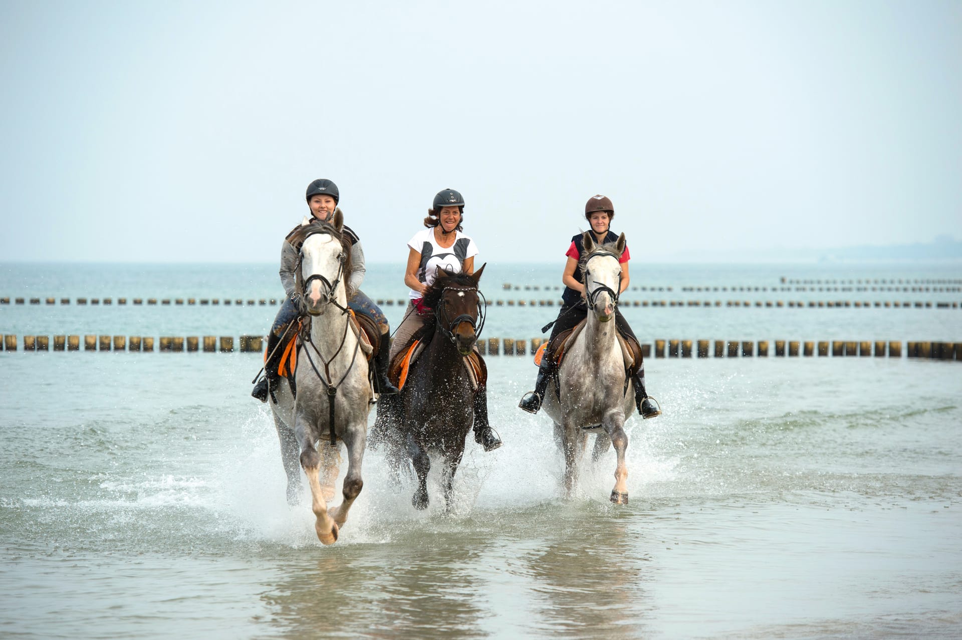 Drei Reiterinnen galoppieren durch die Ostsee