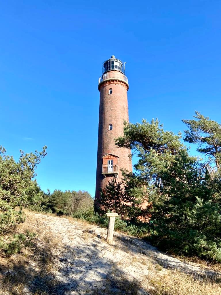 Roter Backstein-Leuchtturm zwischen Kiefern unter blauem Himmel