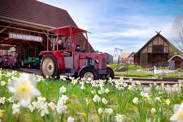 Kinder fahren Traktorbahn durch Bauernhof mit Frühlingsblumen
