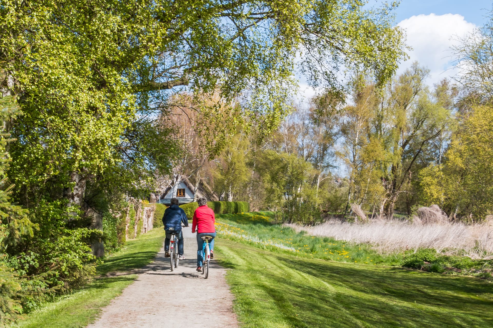 Zwei Radfahrer auf grünem Weg durch frühlingshafte Landschaft