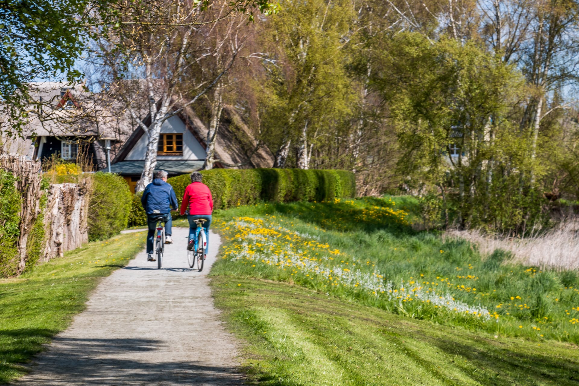 Radfahren im Frühling auf dem Darß nahe Reetdachhaus