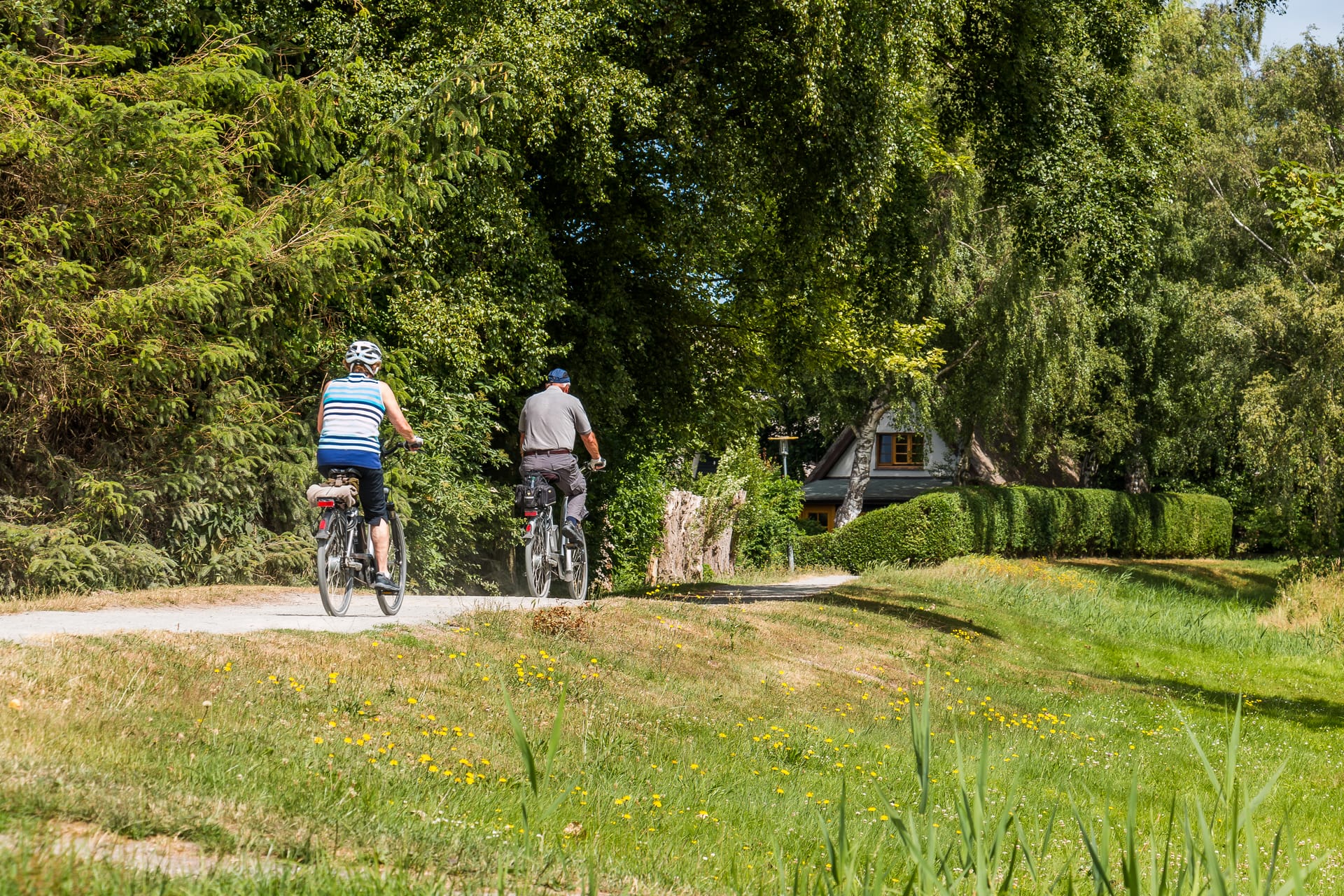 Radfahren durch Ahrenshoop vorbei an Reetdachhäusern