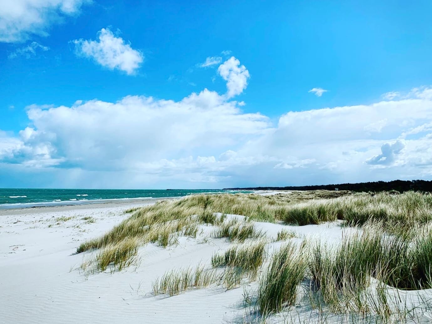 Weite Dünenlandschaft mit hellem Sand, Strandgras und Blick auf die Ostsee unter blauem Himmel.
