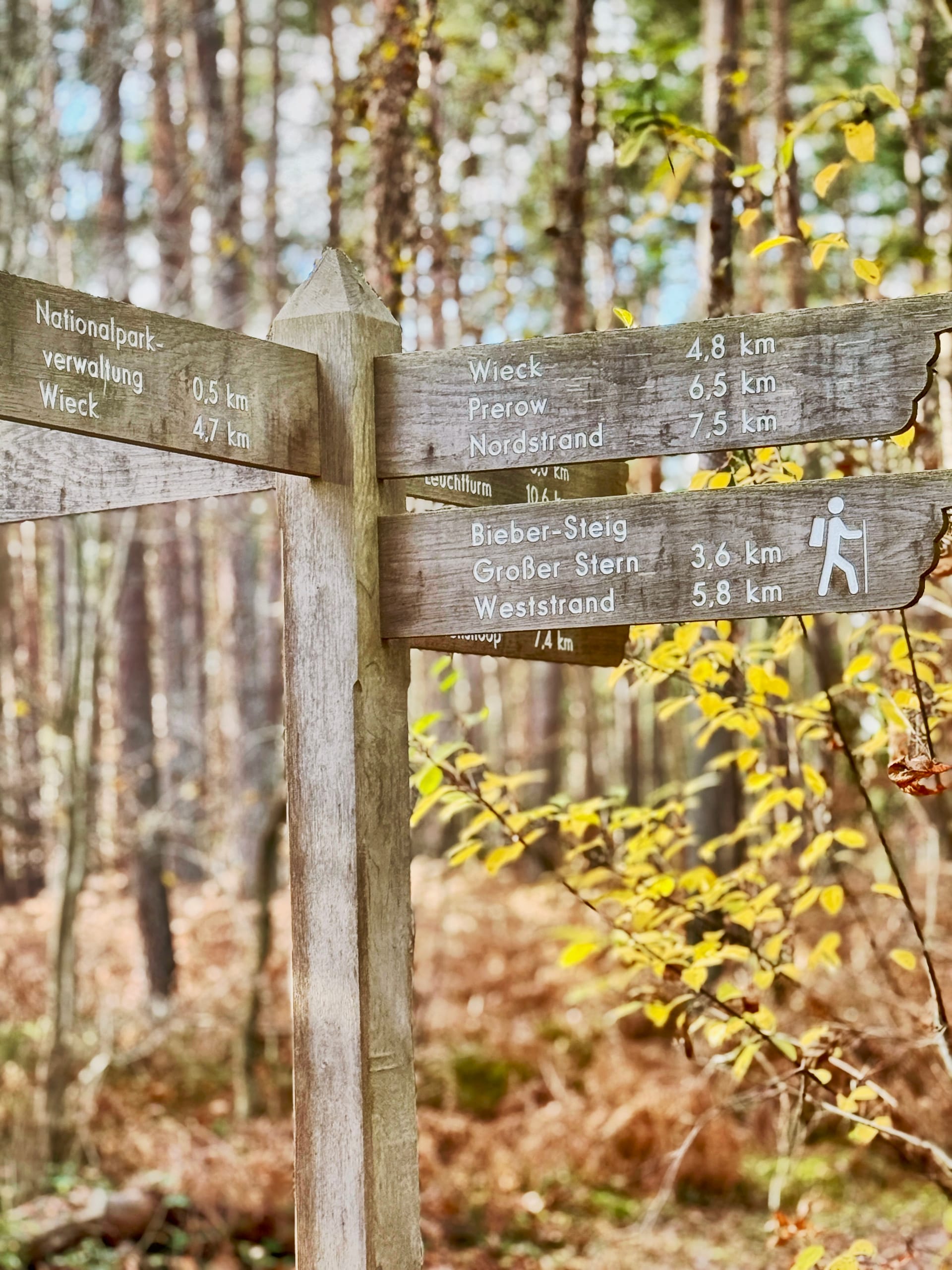 Hölzerner Wegweiser im Wald mit Zielen Richtung Wieck und Weststrand
