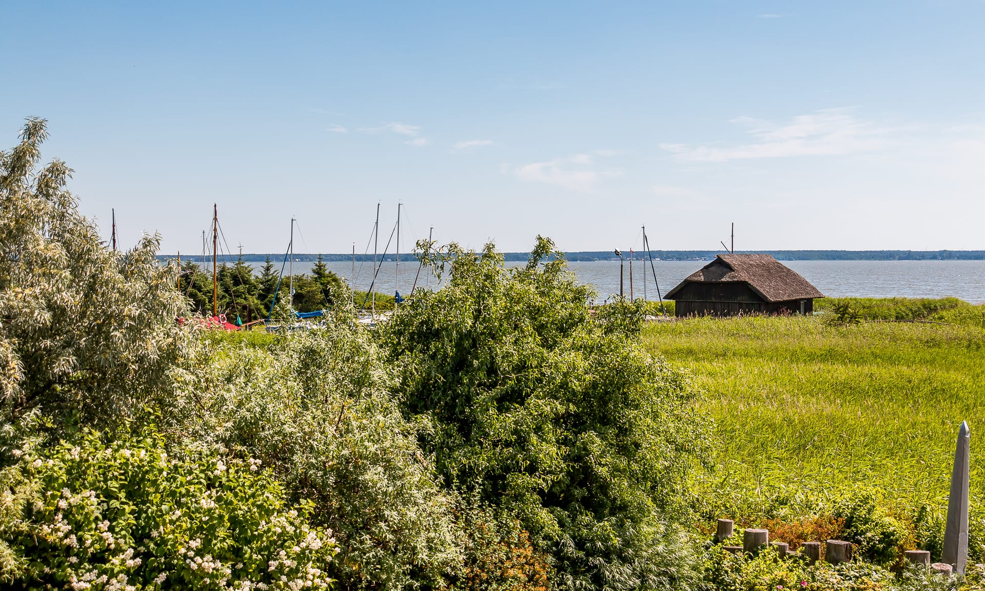 Blick über Wiesen zum Bodden mit Segelbooten und Reethaus