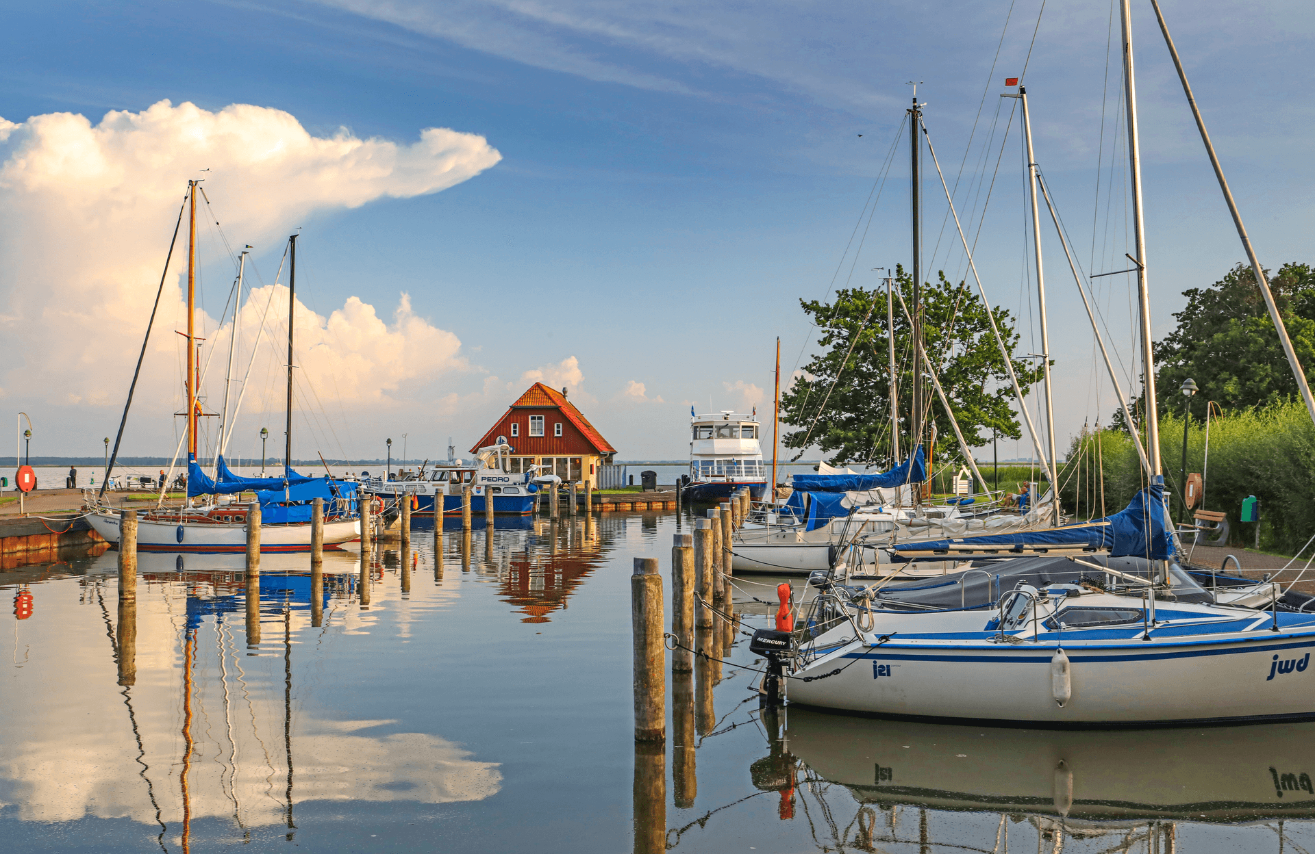 Segelboote im Hafen von Born am Bodden bei ruhigem Abendlicht