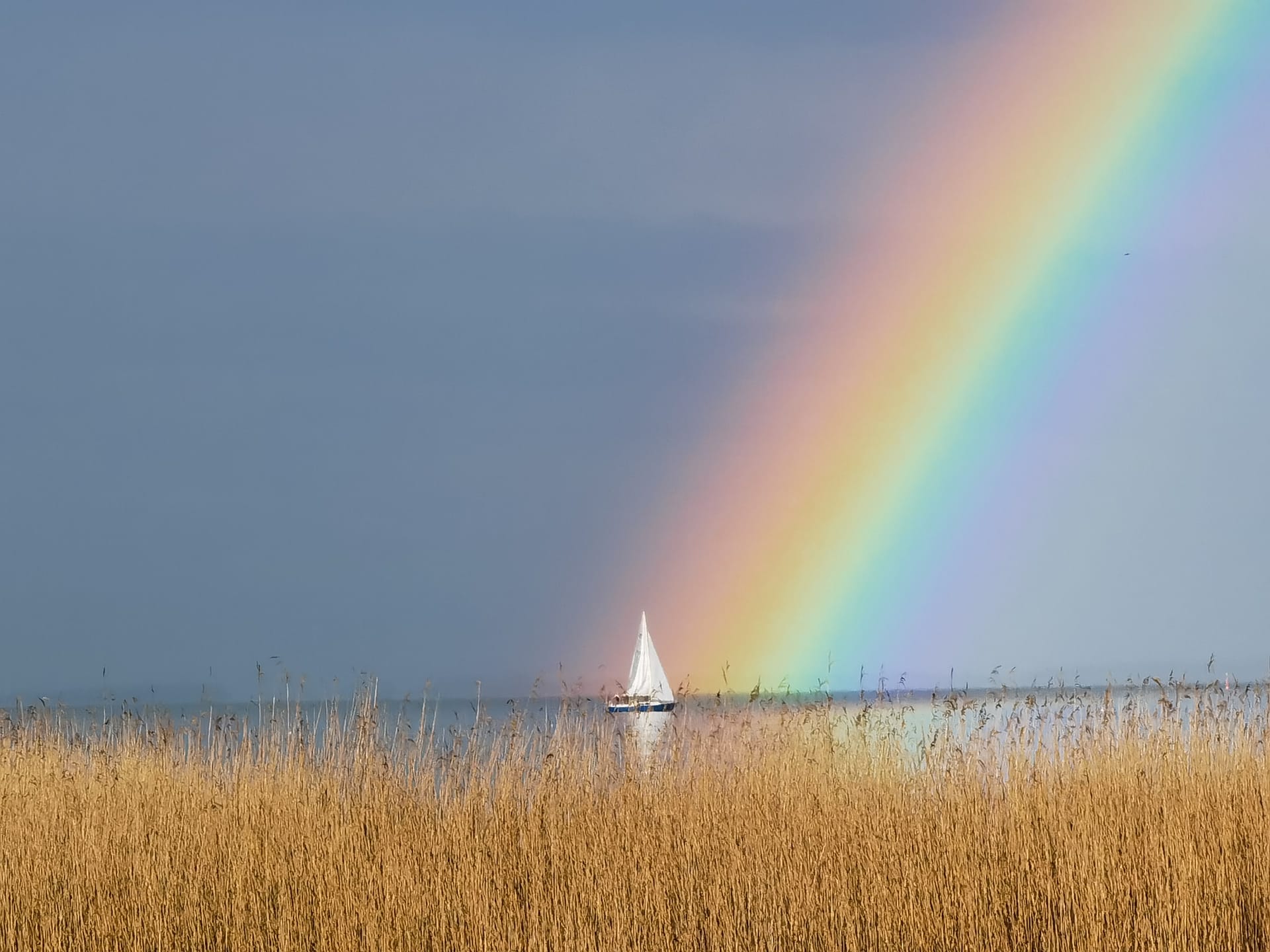 Segelboot vor Regenbogen über dem Bodden
