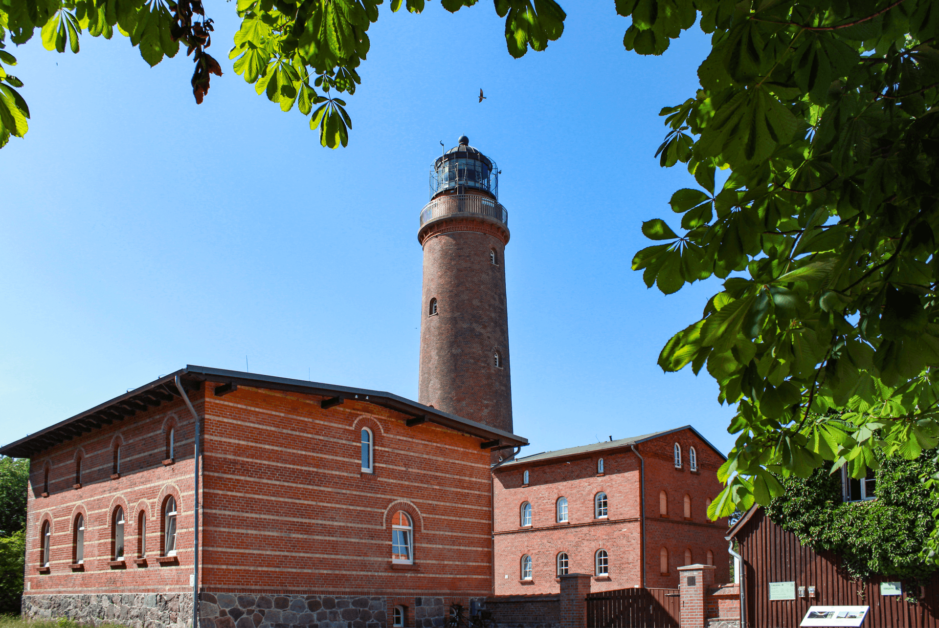 Leuchtturm Darßer Ort mit rotem Backsteinturm, umgeben von historischen Gebäuden und grünen Baumkronen.