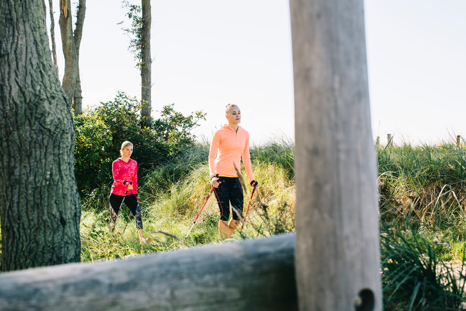 Frauen beim Nordic Walking durch Dünenlandschaft