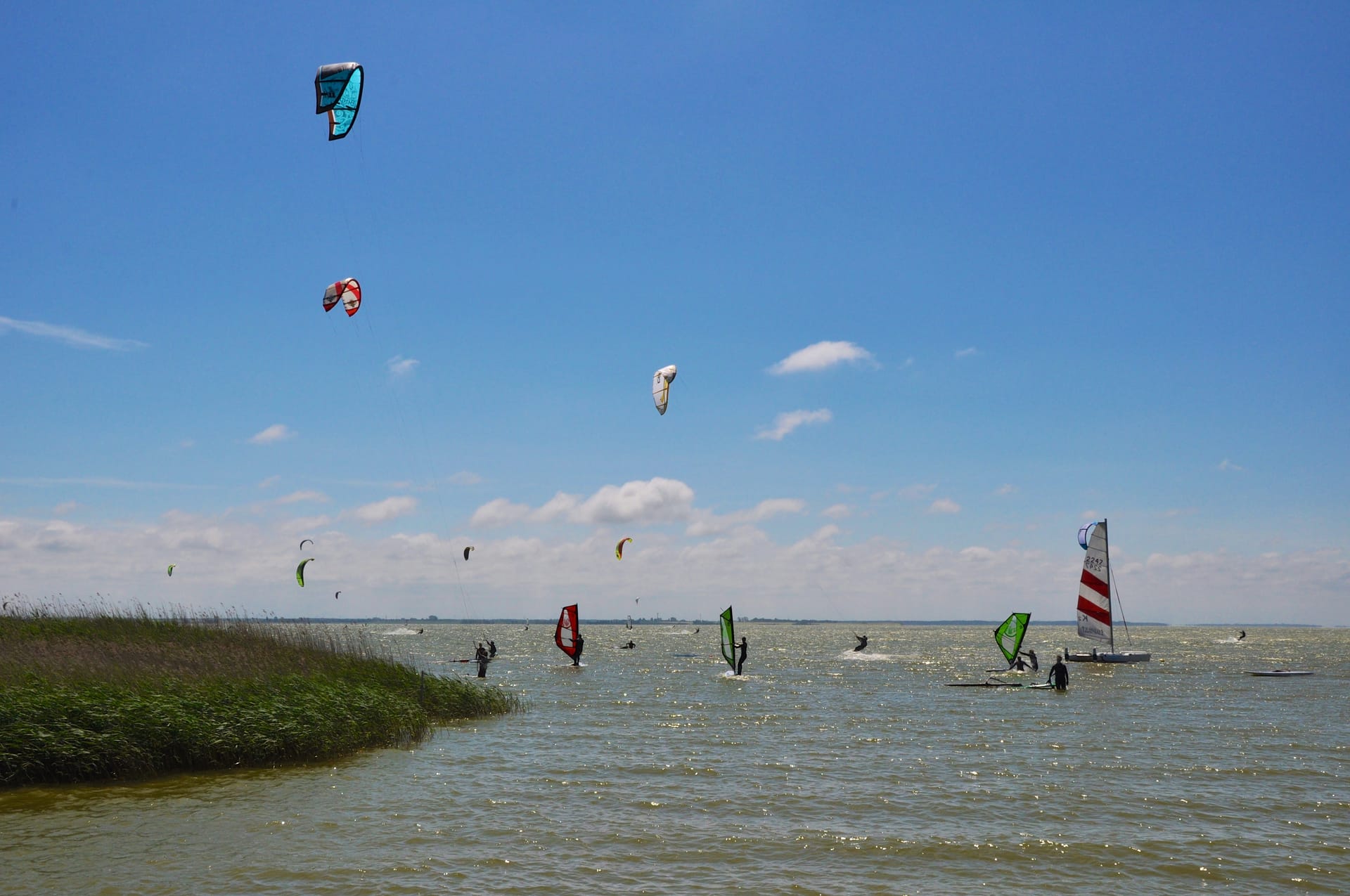 Kitesurfer und Windsurfer am Bodden in Born