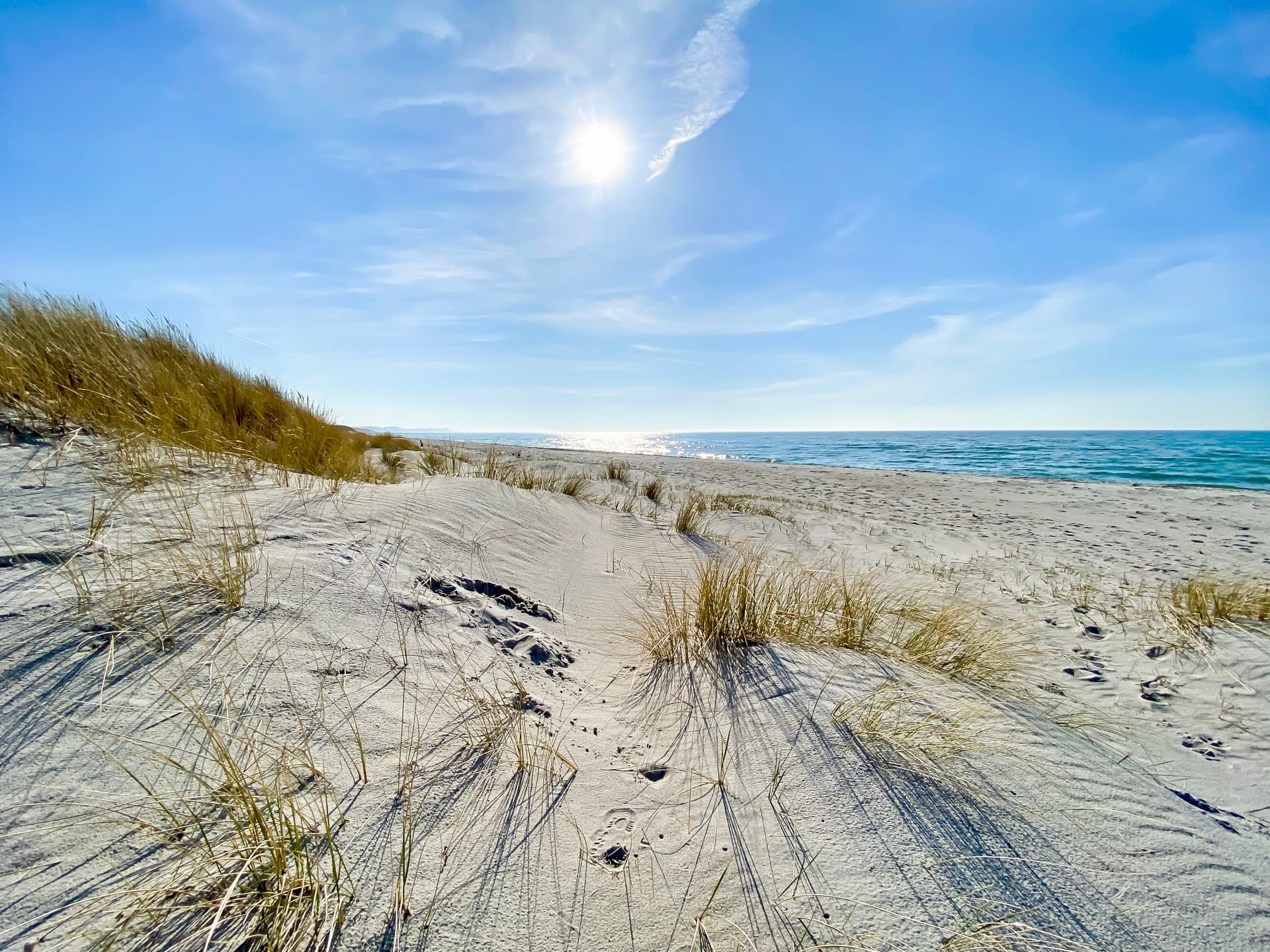 Dünen und Sandstrand von Ahrenshoop