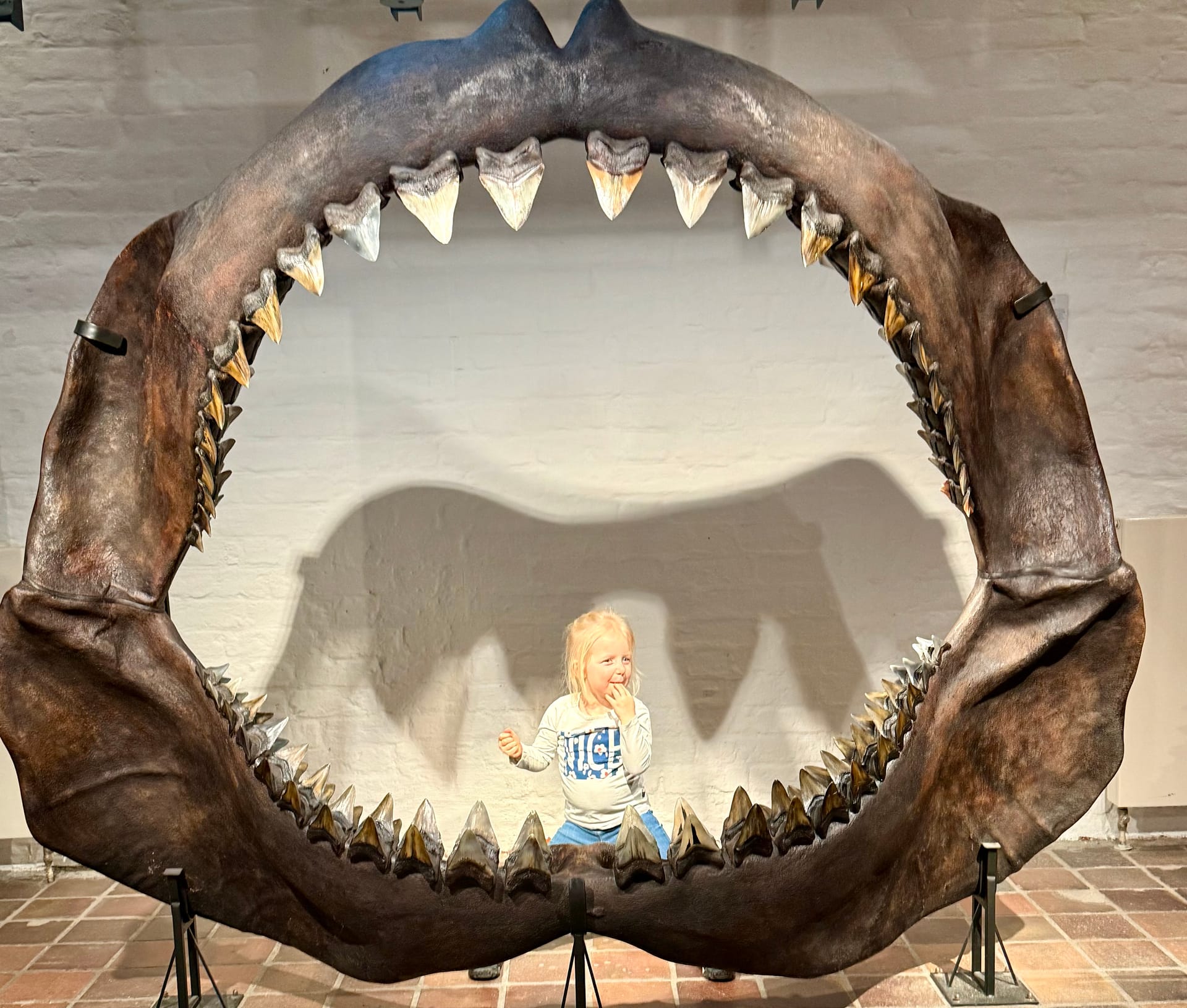 Kind steht im riesigen Haifischgebiss im Naturkundemuseum