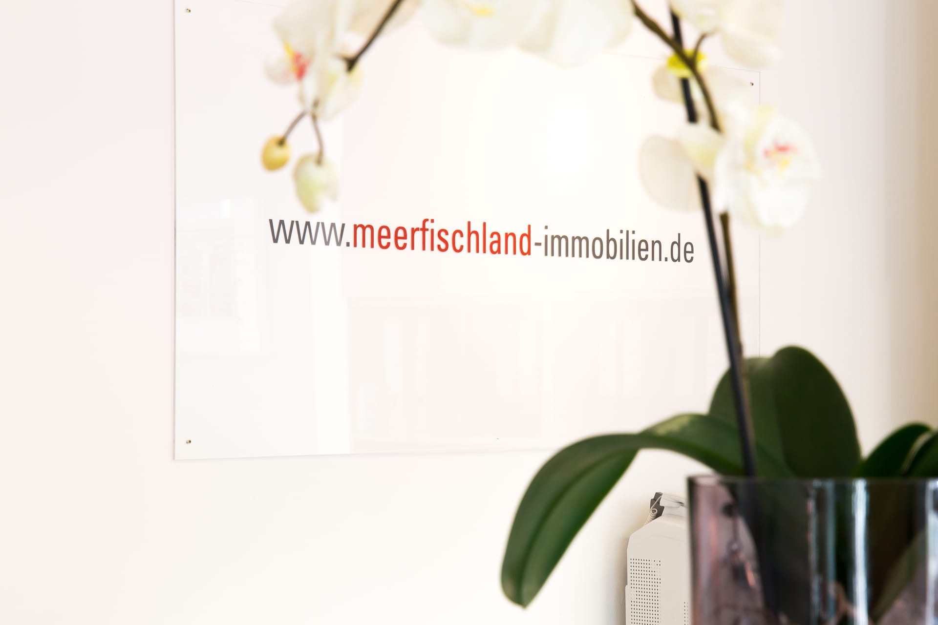 Werbeschild Meerfischland Immobilien an heller weißer Wand
