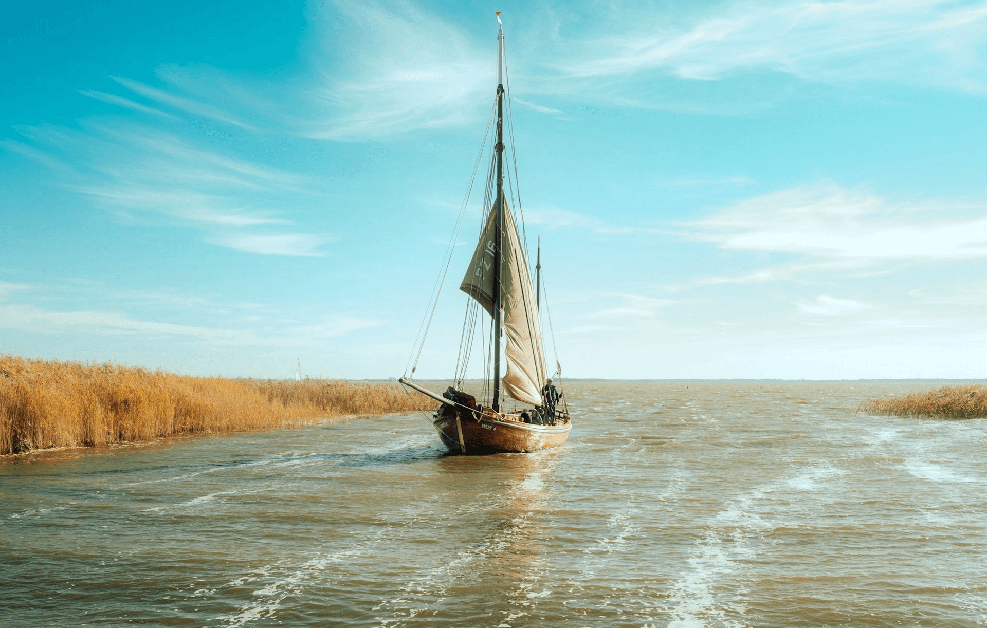 Zeesboot fährt mit gesetzem Segel auf Bodden