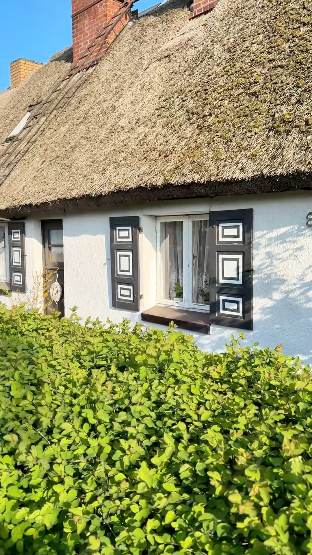 Reetdachhaus in Born mit Fensterläden und Hecke am Darß