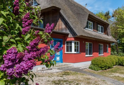 An den Boddenwiesen 02