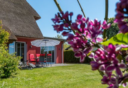 An den Boddenwiesen 01