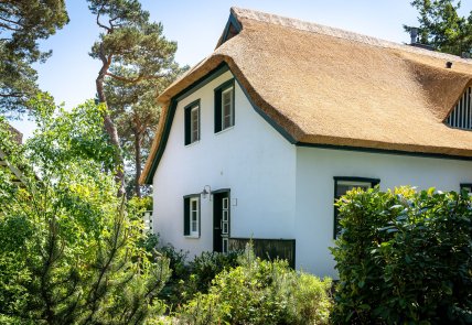 Strandhaus Düne 19 - Freude
